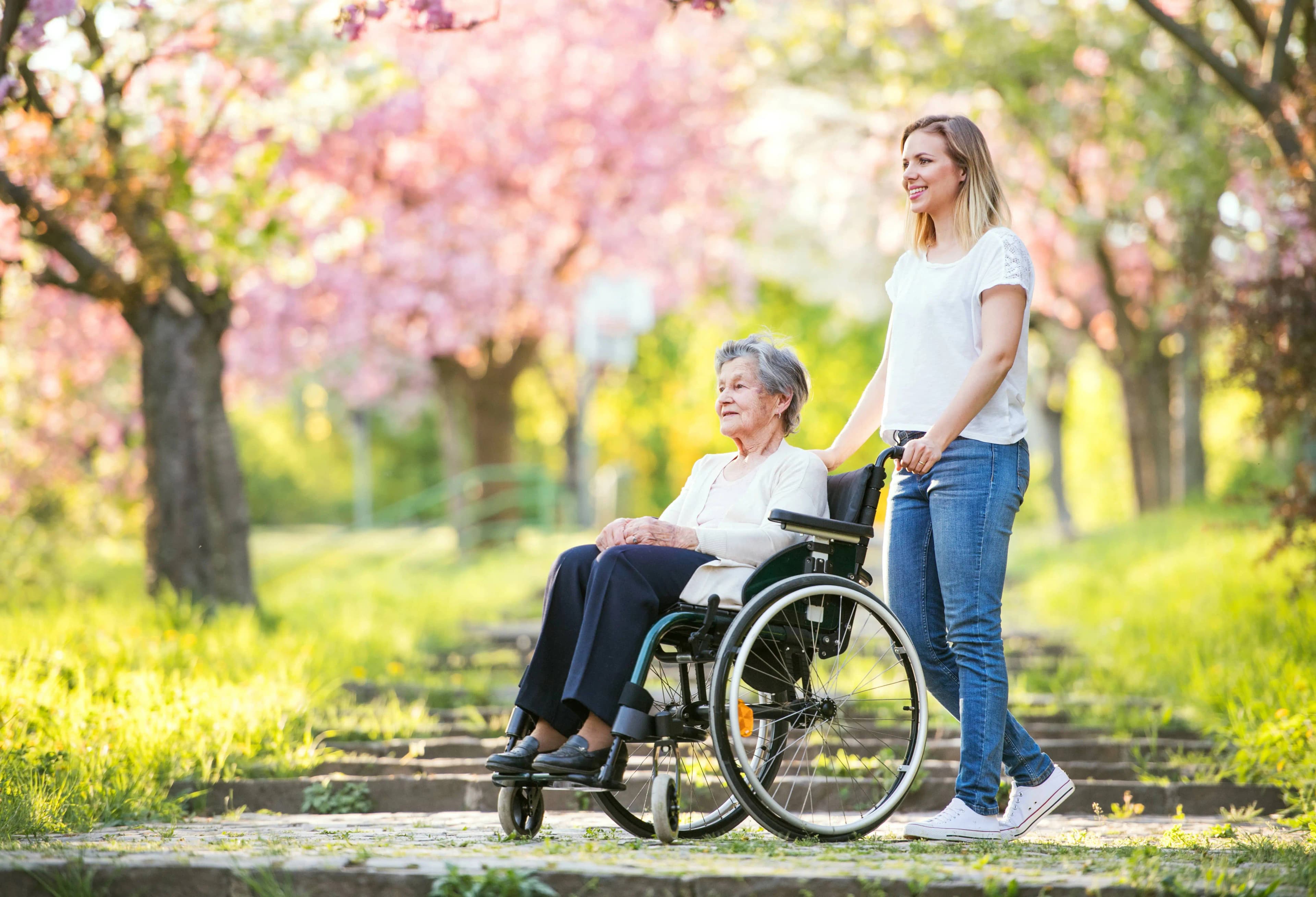 Nurse pushing a lady in a wheelchair with cherry blossoms in the background